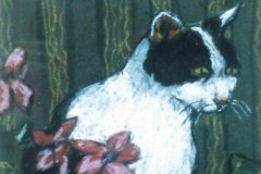 Cat-in-geraniums. Pastel