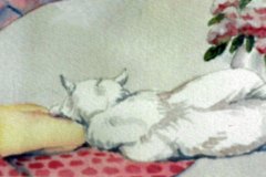 Sleeping-white-cat. Watercolours