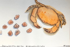 Annie Wise-The-crab-and-his-friends-Pen-and-wash