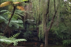 Belinda Webb-photo- SocialDistancing.VaucluseHouse