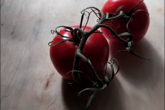 Belinda Webb-Tomatoes photo