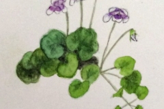 Elaine Challenger-Violets -Watercolour