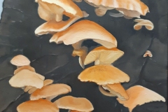 Elisabeth Prax Mushrooms after the downpour