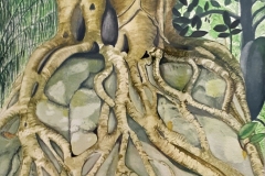 Hilary Glover-Tree roots