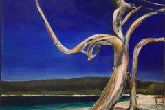 Katrina McIlveen-Shoreline