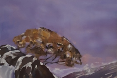 Katrina  McIlveen-Snowmelt