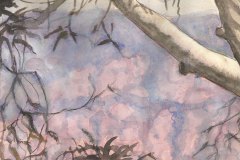 Kings-tableland. Watercolour