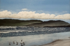 Leslie Leo Cloudy Bay Bruny Island )ils