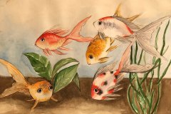 Lorna Fernandez-Gold-fish
