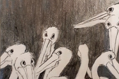 Lynette Bubb Pelicans