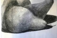 Robert Kitson-Charcoal drawing of pear