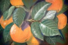 Robert Kitson-Oranges