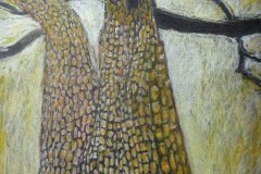 Robert Kitson-Trees