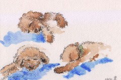 Sally Pope-Puppy sleeping, Pen and wash