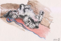 Sally Pope-Resting, Pen and wash