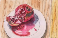 Sally Pope-Cut Persimmon, Pen and wash