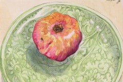 Sally Pope-Persimmon on plate, Pen and wash