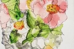 Sally Pope-Rose-still life-Pen and wash