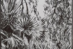 Sarah Lay-Bush-Scene-Pen and Ink