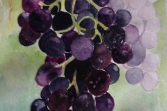 Valerie Mollard-Grapes, watercolours